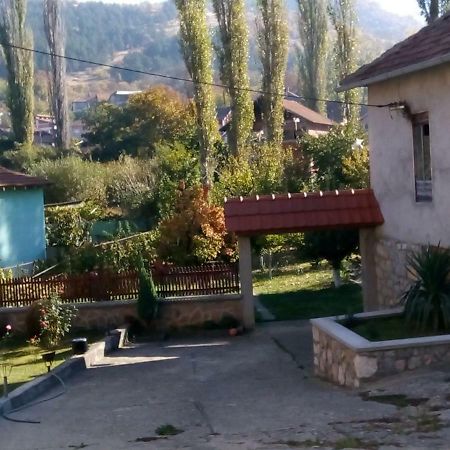 Guest House Green view Pirot Extérieur photo