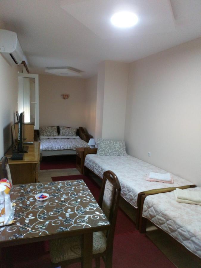 Guest House Green view Pirot Extérieur photo