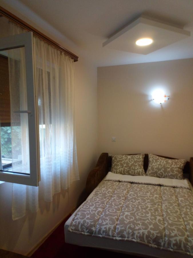 Guest House Green view Pirot Extérieur photo