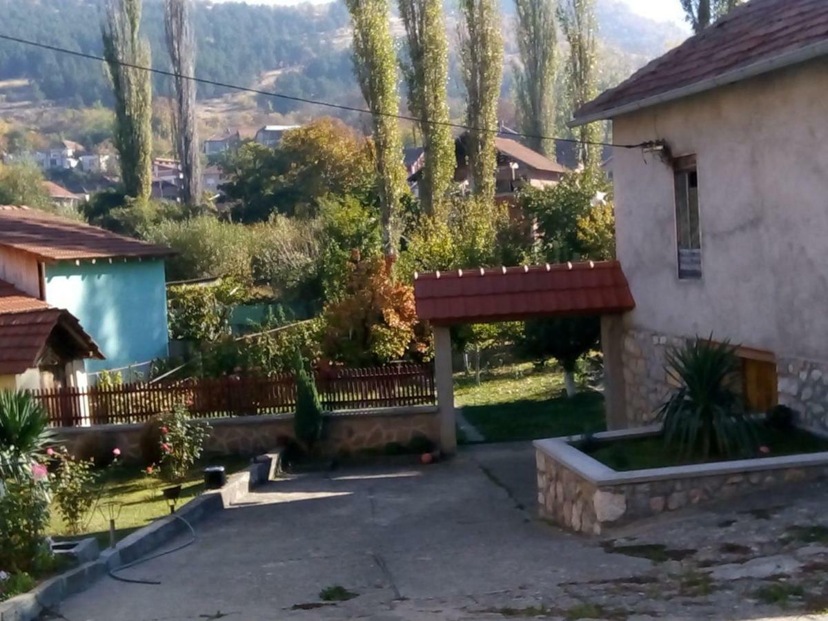 Guest House Green view Pirot Extérieur photo