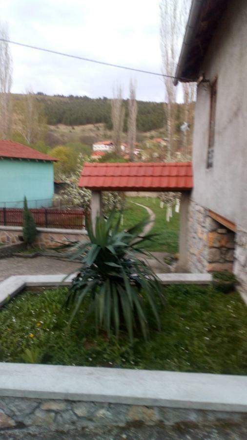 Guest House Green view Pirot Extérieur photo