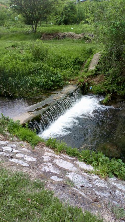 Guest House Green view Pirot Extérieur photo