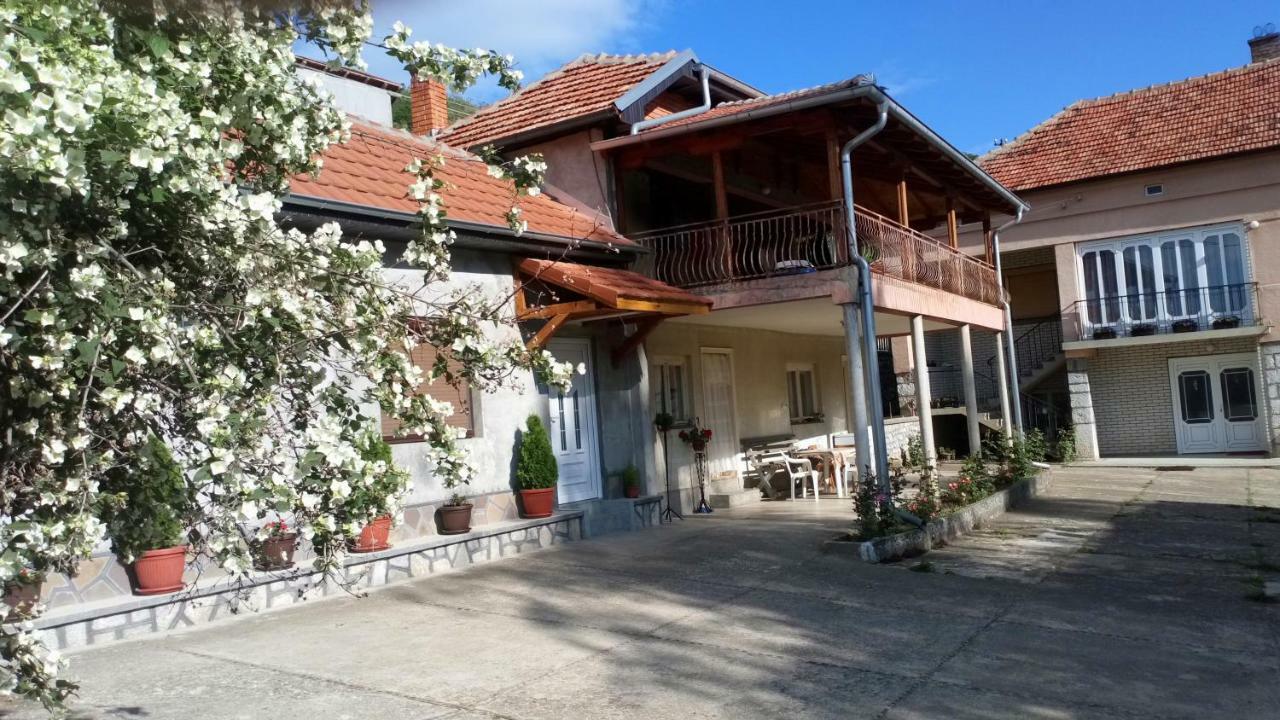 Guest House Green view Pirot Extérieur photo